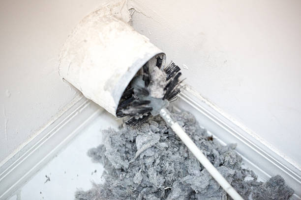 Best Affordable Air Duct Cleaning  in Dillingham, AK